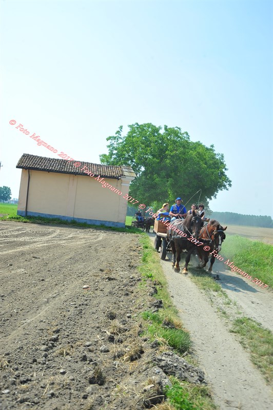 DSC_0850.JPG
